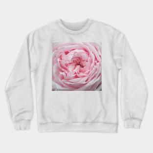 Delicate Pink Rose Flower Petal Pattern Crewneck Sweatshirt